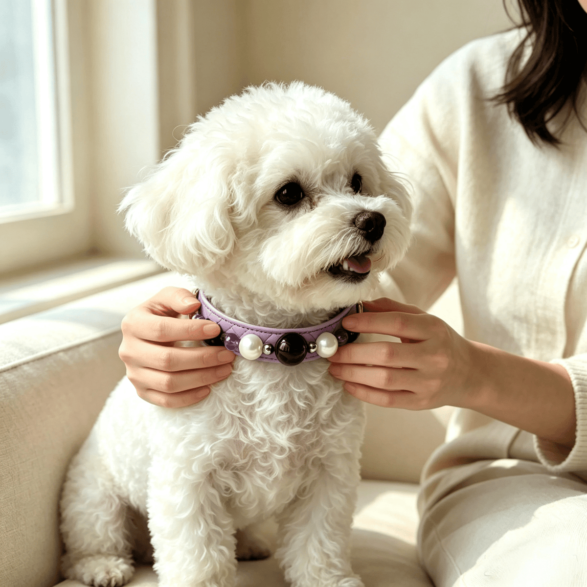 How to Choose the Perfect Luxury Pet Collar for Your Cat or Dog