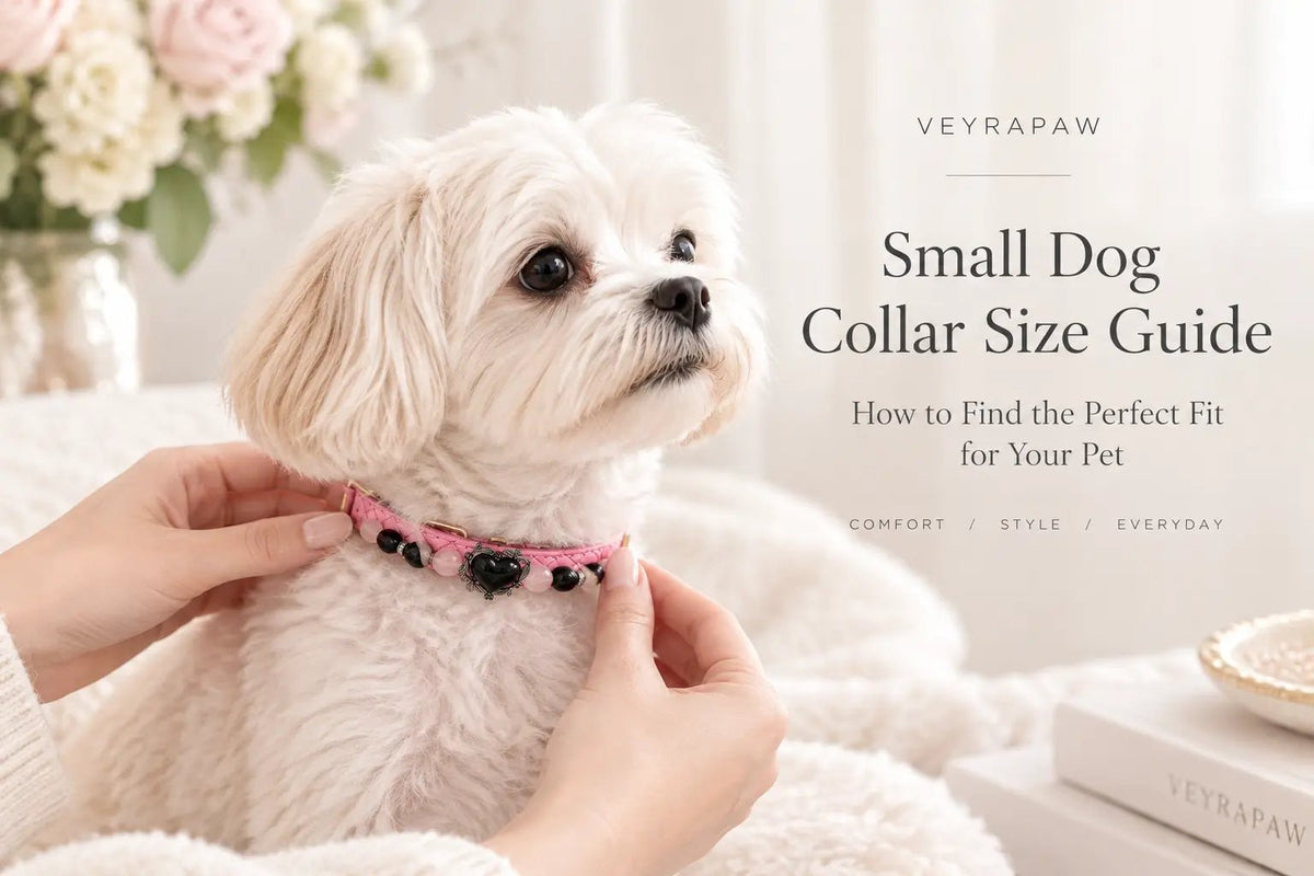 Small Dog Collar Size Guide: How to Find the Perfect Fit for Your Pet