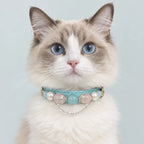 A cat facing forward, wearing a Veyrapaw Aquamarine, Pearl, and Pink Crystal pet collar.