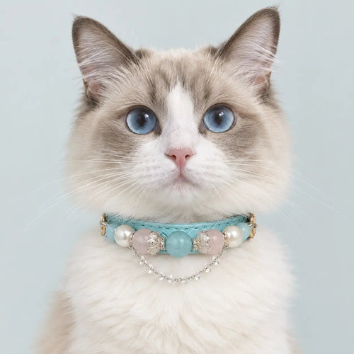 A cat facing forward, wearing a Veyrapaw Aquamarine, Pearl, and Pink Crystal pet collar.