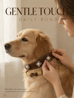 Small dog wearing handmade Tiger's Eye and Smoky Quartz crystal pet collar