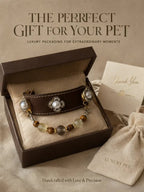 Premium gift box packaging for Veyrapaw Tiger's Eye and Smoky Quartz crystal pet collar