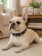 Side view of a French Bulldog resting on a rug while wearing the Gray Moonstone and Smoky Quartz crystal collar