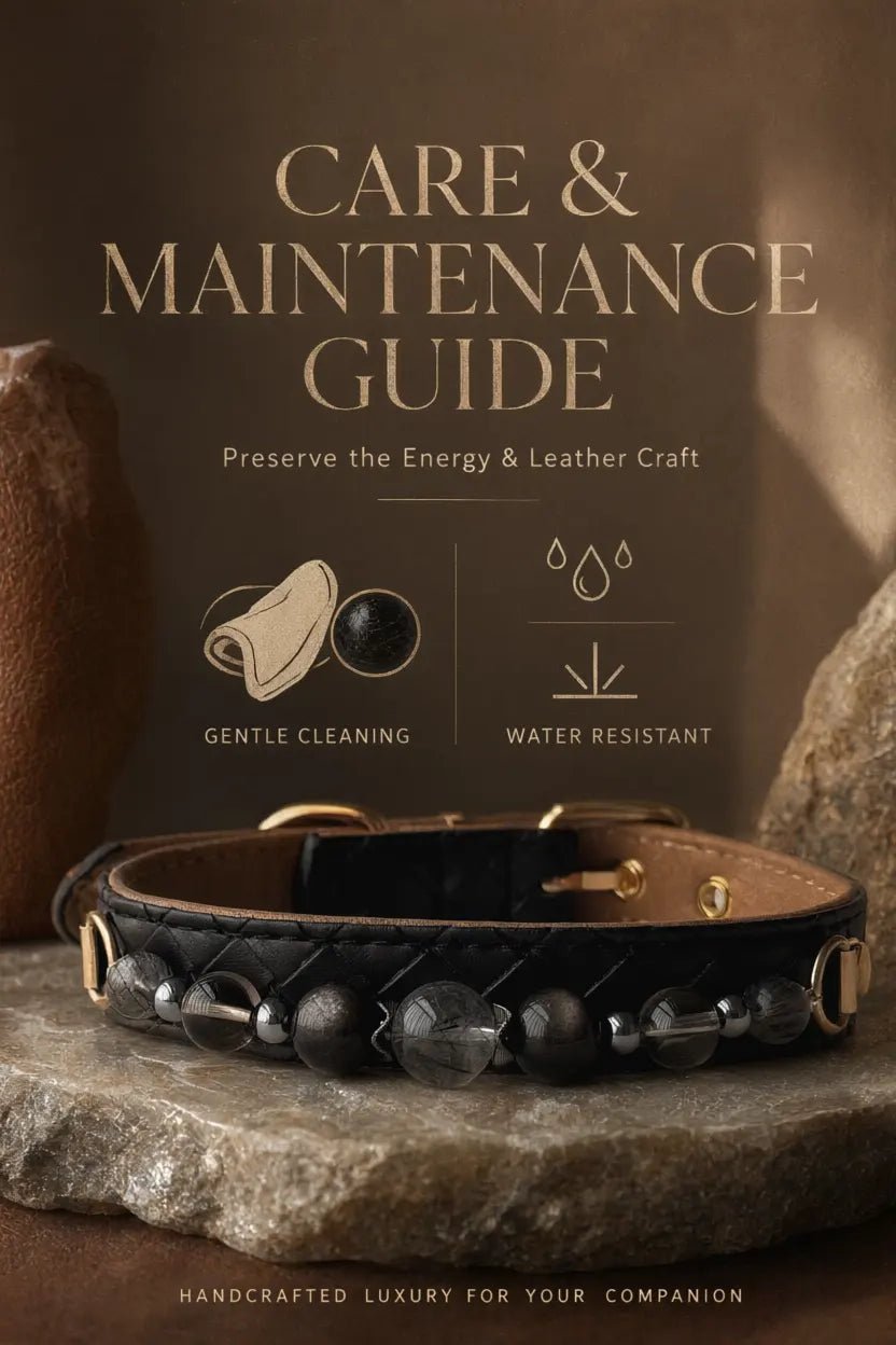 Lifestyle modeling shot of companion wearing black rutilated quartz collar - Veyrapaw