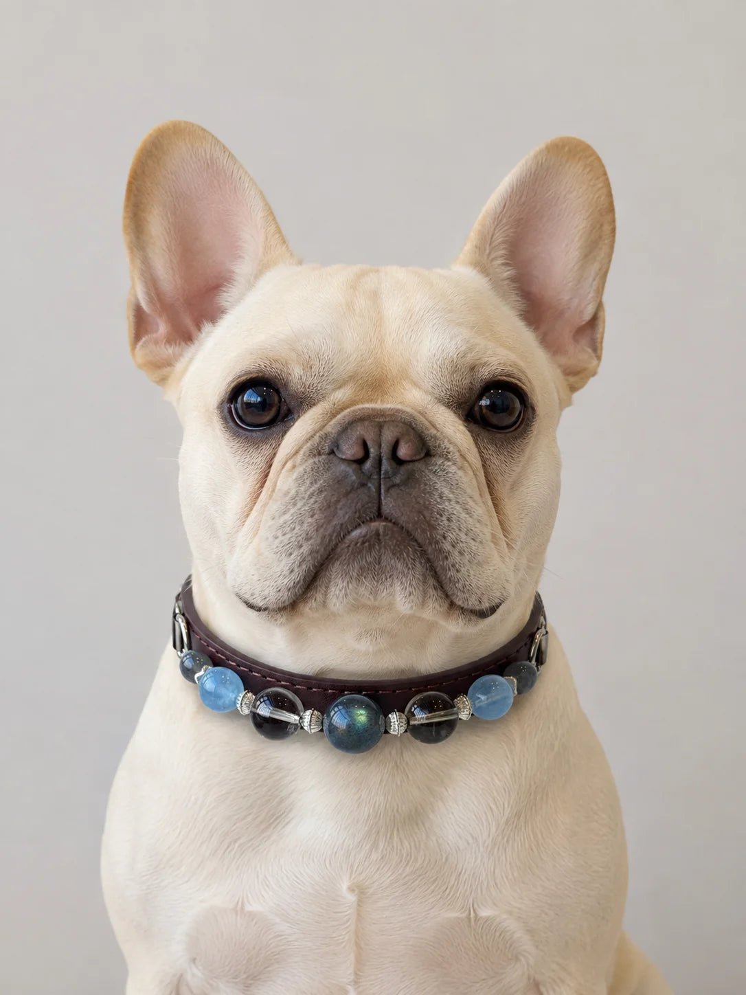 French Bulldog wearing the handmade Gray Moonstone and Smoky Quartz gemstone pet collar