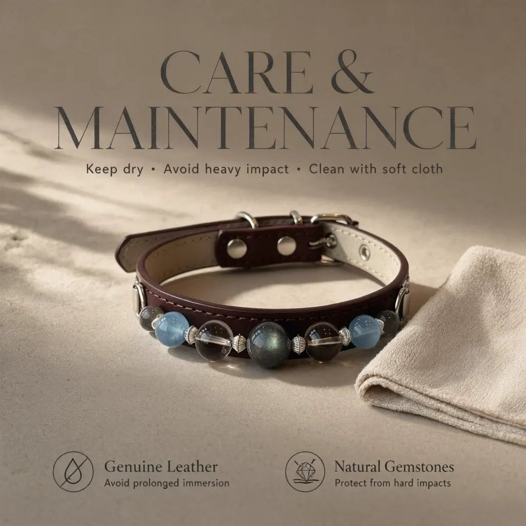 Pet collar care and safety instructions for comfortable everyday use - Veyrapaw