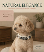 Dog wearing a Black Rutilated Quartz and Smoky Quartz pet collar sitting on a rug