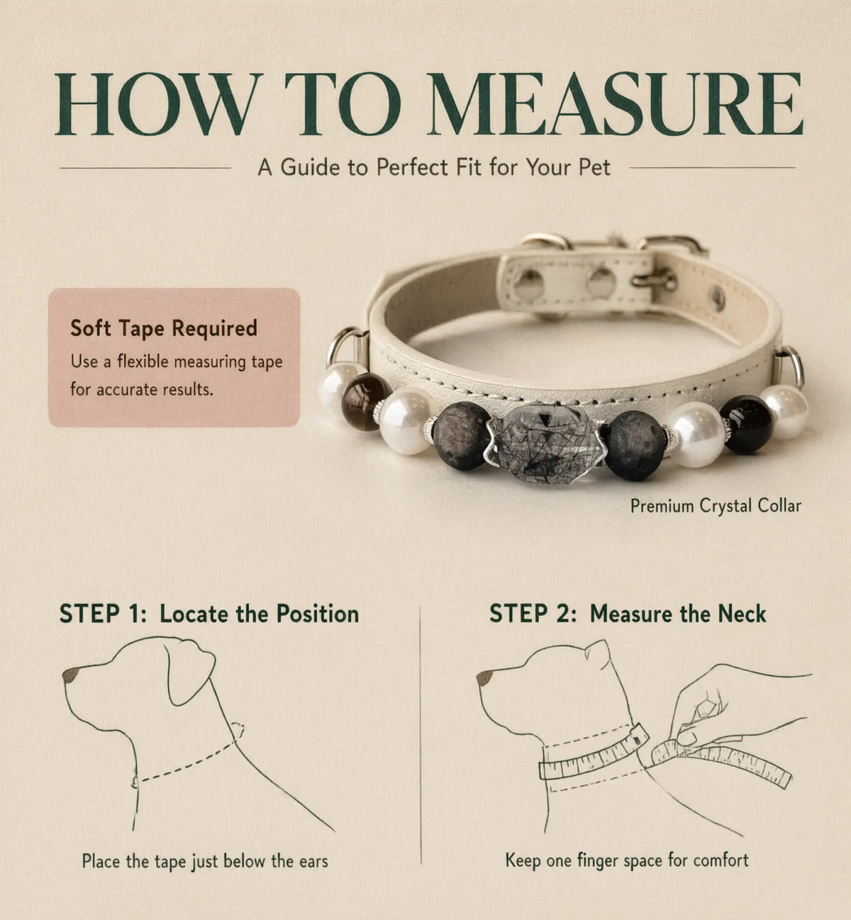 Guide on how to measure a dog's neck size for the pet collar