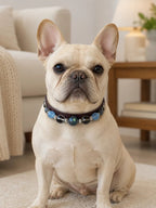 French Bulldog sitting on a rug wearing the luxury Gray Moonstone and Smoky Quartz pet collar