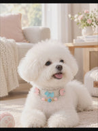 Aquamarine & Pink Crystal Small Dog Collar