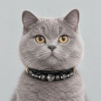 A cat facing forward, wearing a Veyrapaw Black Rutilated Quartz and Silver Obsidian crystal pet collar.