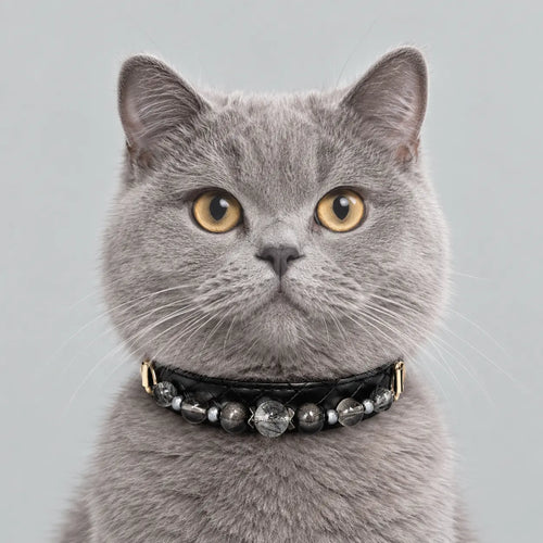 A cat facing forward, wearing a Veyrapaw Black Rutilated Quartz and Silver Obsidian crystal pet collar.