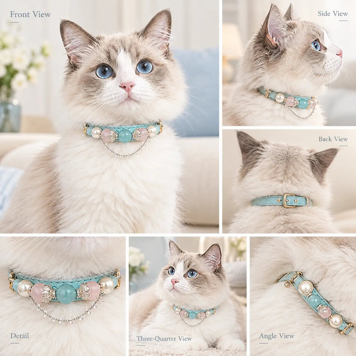 Indoor lifestyle shot of companion wearing aquamarine and pearl pink crystal collar - Veyrapaw