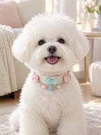 Small dog wearing the Aquamarine and Pink Crystal gemstone collar sitting on a rug