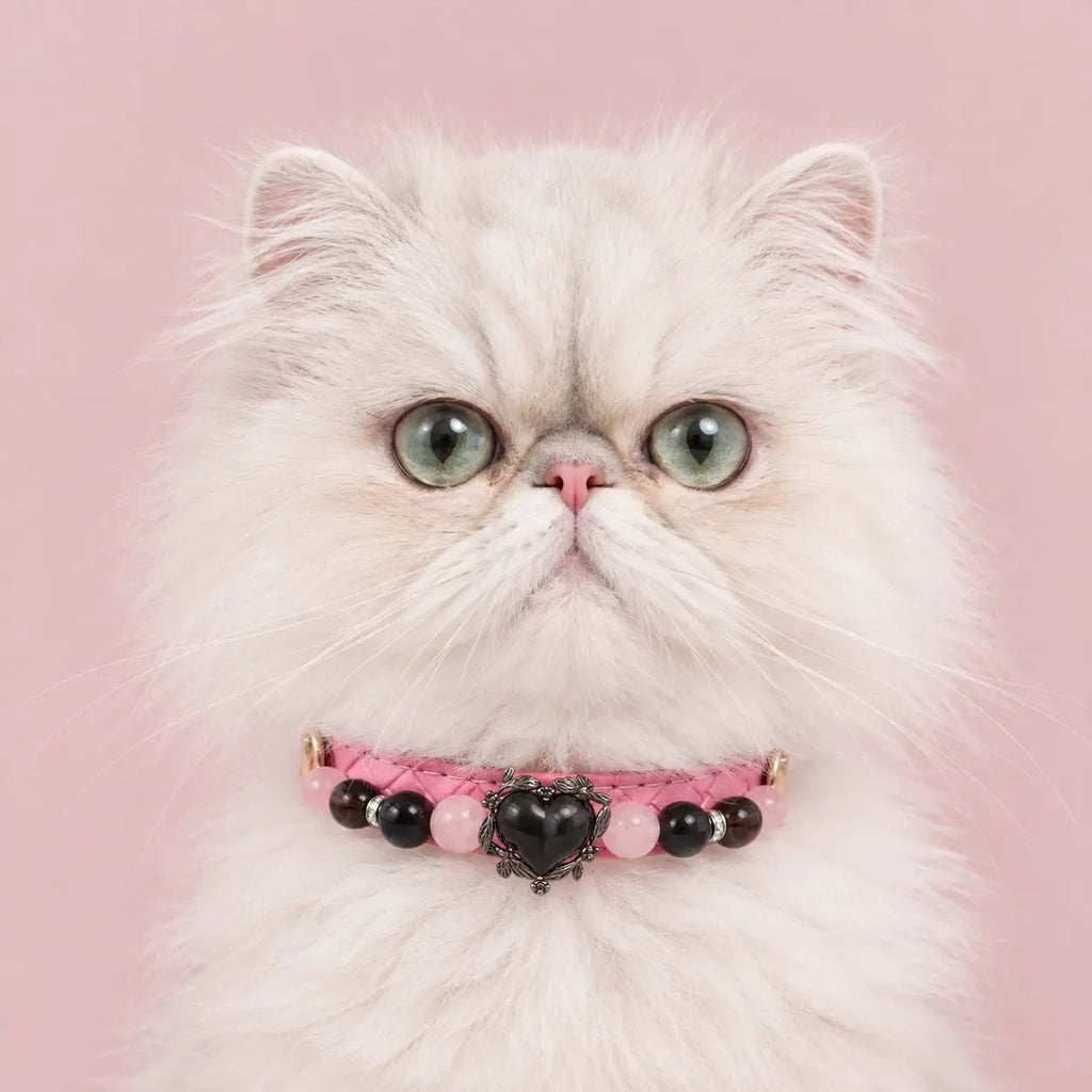 Fluffy white cat wearing the pink woven Rose Noir crystal pet collar