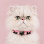 Fluffy white cat wearing the pink woven Rose Noir crystal pet collar